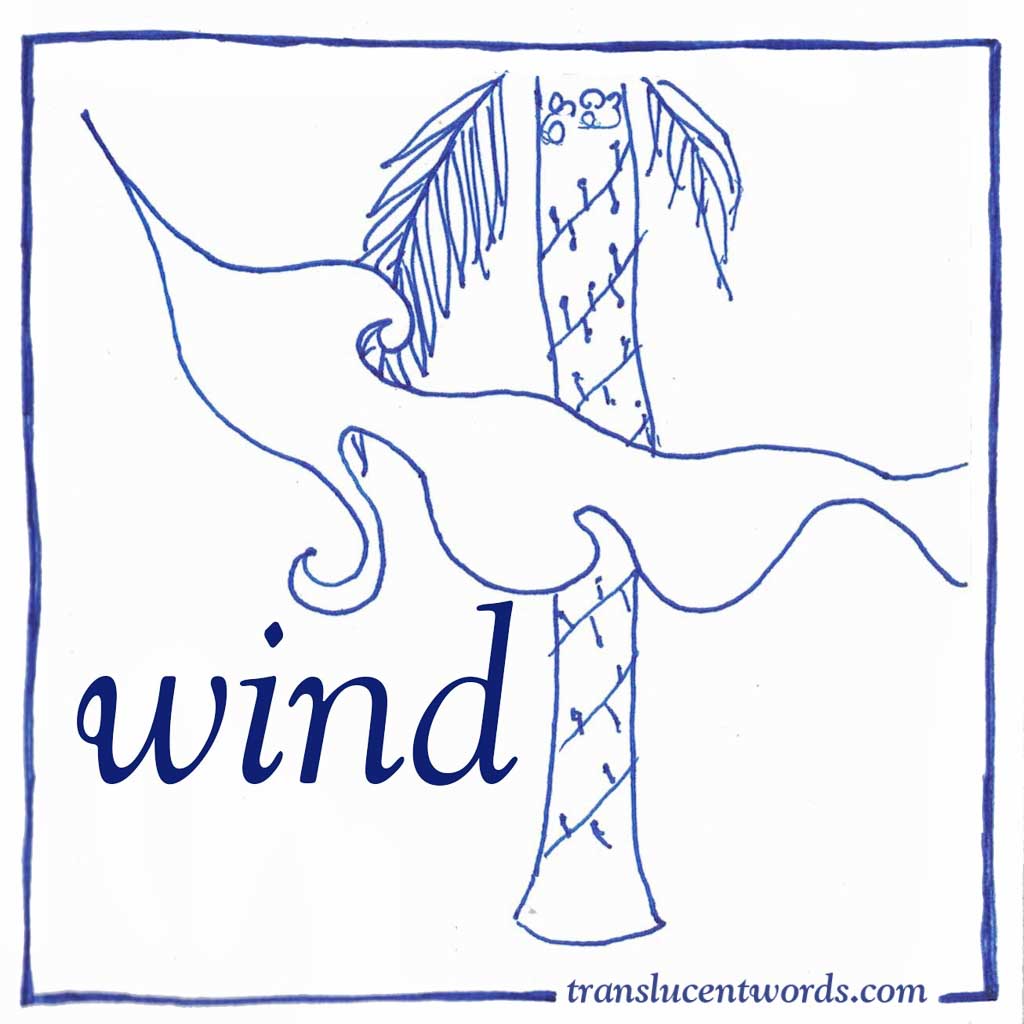 5 letter word with wind