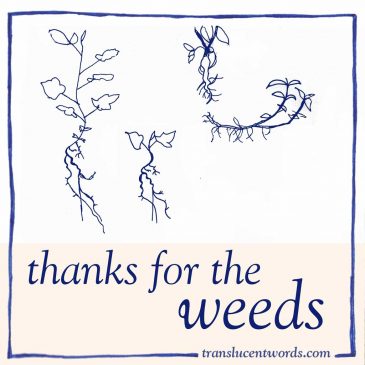 Thanks for the Weeds